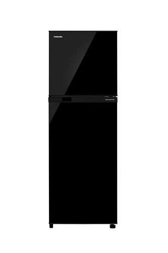 Toshiba GR-B31INU 272 Ltr Double Door Refrigerator