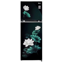 LG GL-S262SELX 246L 3 Star Double Door Refrigerator LG GL-S262SELX 246L 3 Star Double Door Refrigerator