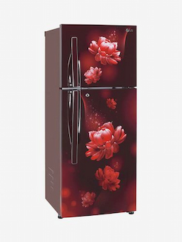 LG GL-T292RSC3 260 Ltr Double Door Refrigerator LG GL-T292RSC3 260 Ltr Double Door Refrigerator