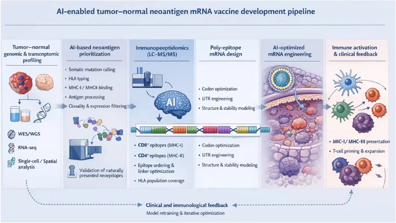 AI’s Role in Cancer Vaccine Sparks Debate on Disease Cures and Timelines AI’s Role in Cancer Vaccine Sparks Debate on Disease Cures and Timelines