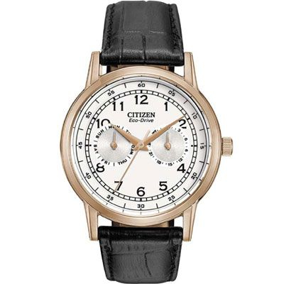 Citizen AO9003-16A Watch - For Men Citizen AO9003-16A Watch - For Men