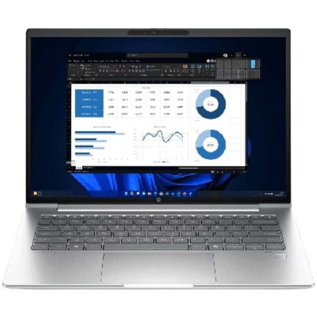 HP HP ProBook 450 39.6 cm (15.6) G10 Business Laptop PC