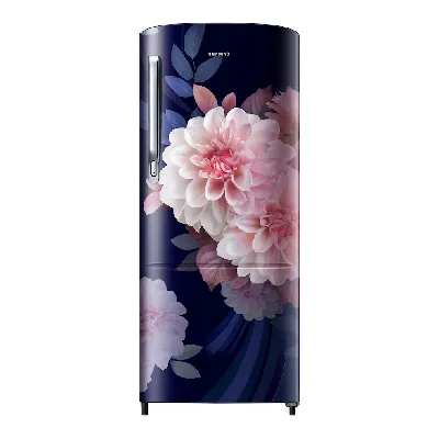 RR20F2723BB 183 L Single Door Refrigerator RR20F2723BB 183 L Single Door Refrigerator