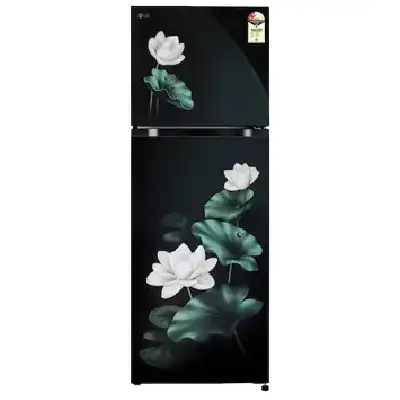 LG LG GLT2526XWEL LG 251L Double Door Refrigerator