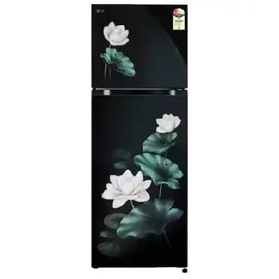 GLT2526XWEL LG 251L Double Door Refrigerator GLT2526XWEL LG 251L Double Door Refrigerator