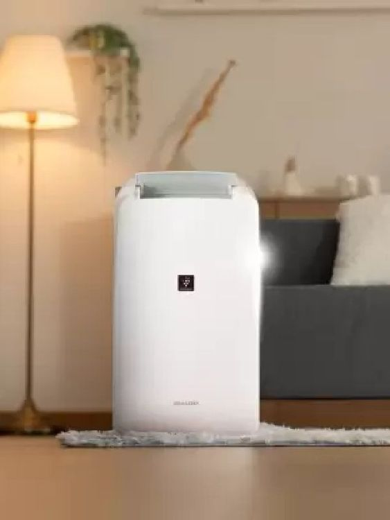 Dehumidifier DW P10MW Dehumidifier DW P10MW